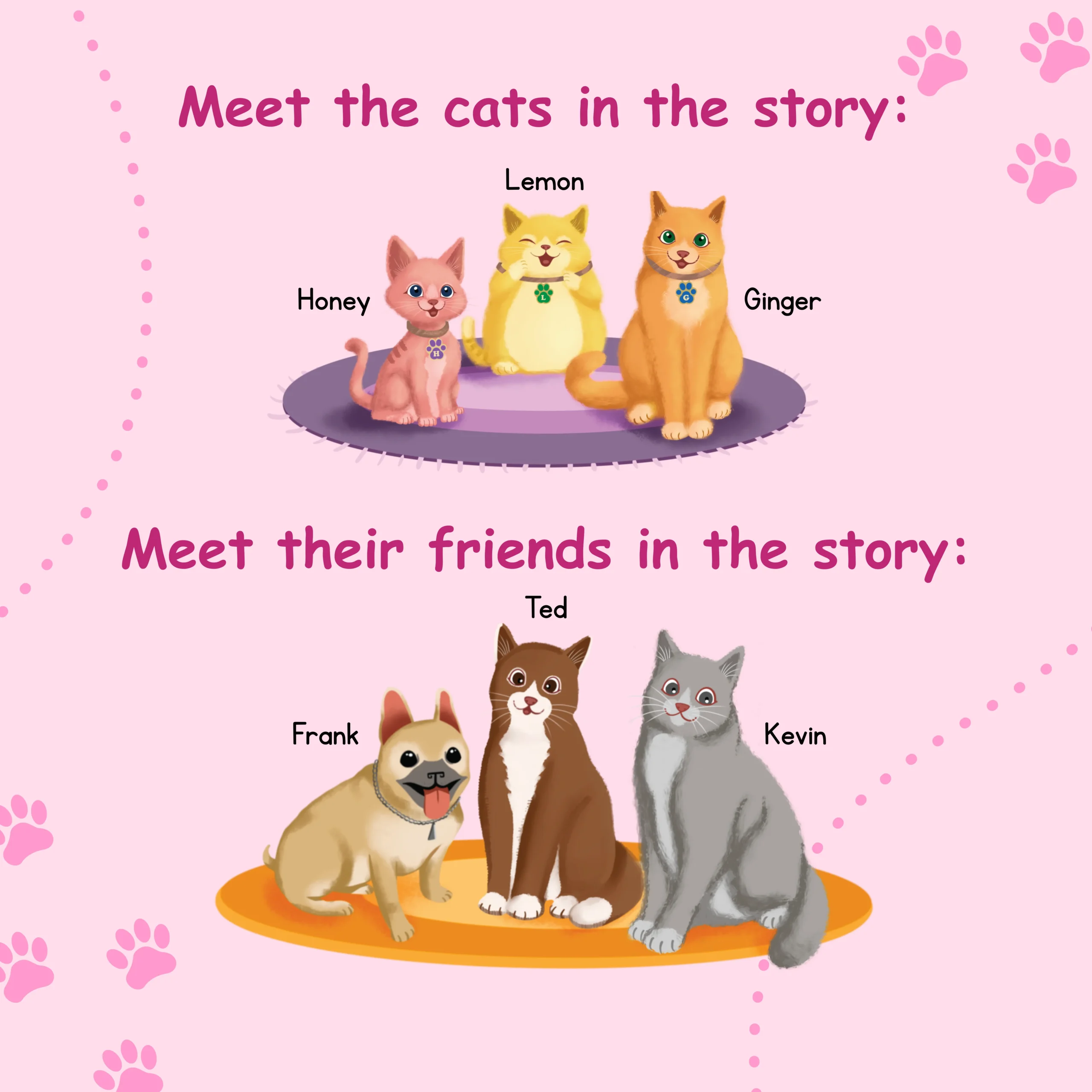 Meet the cats-Book-12