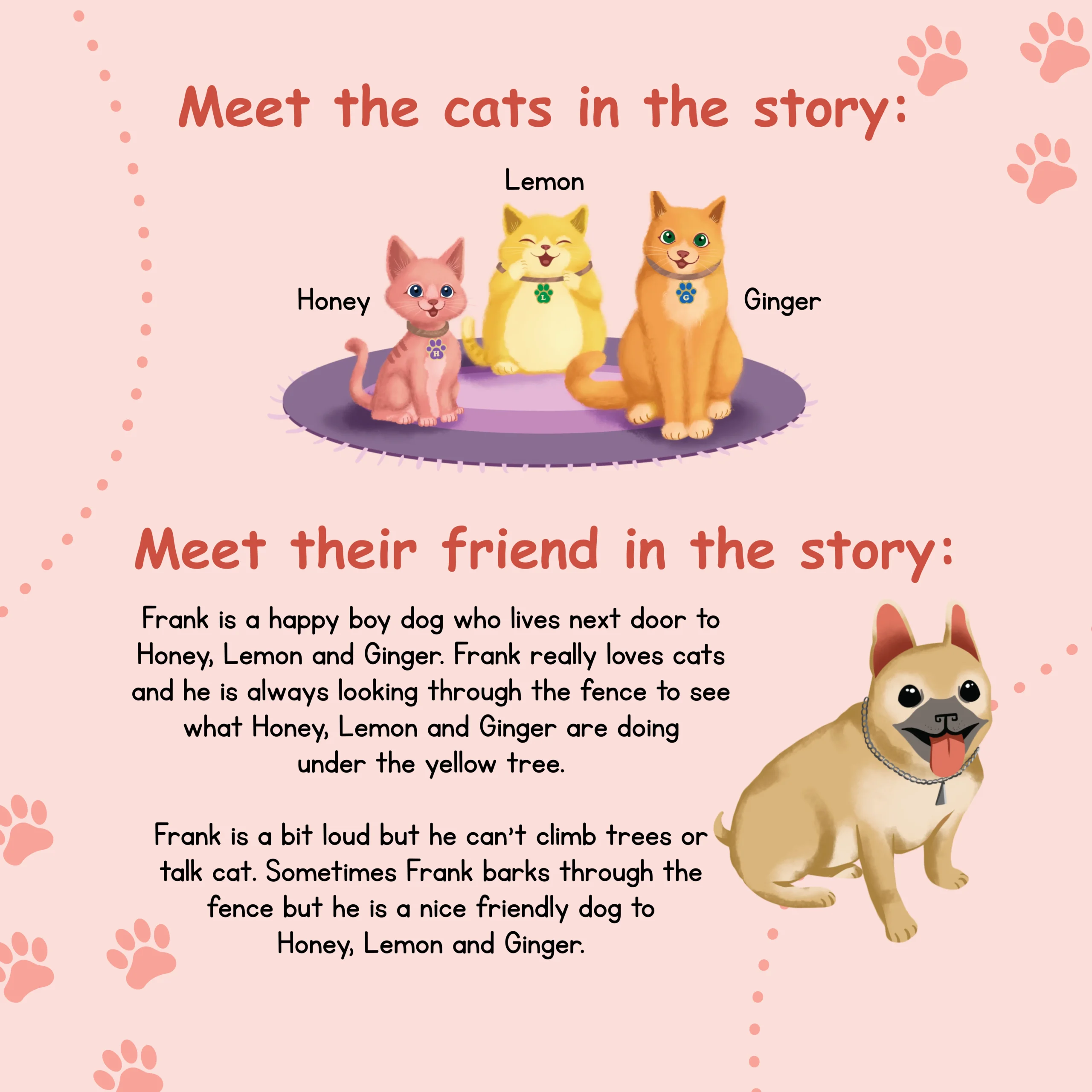 Meet the cats-Book-4