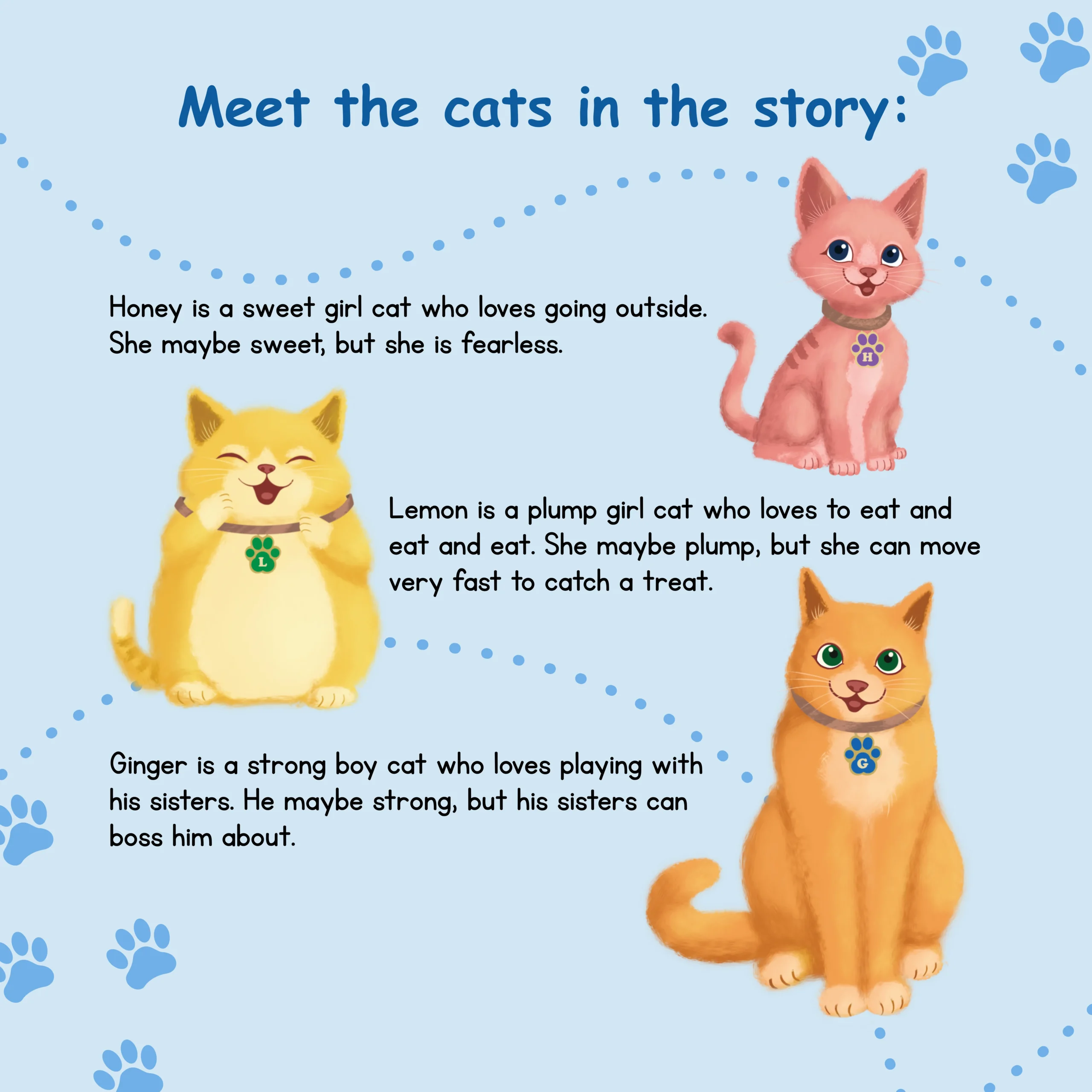 Meet the cats-Book-6