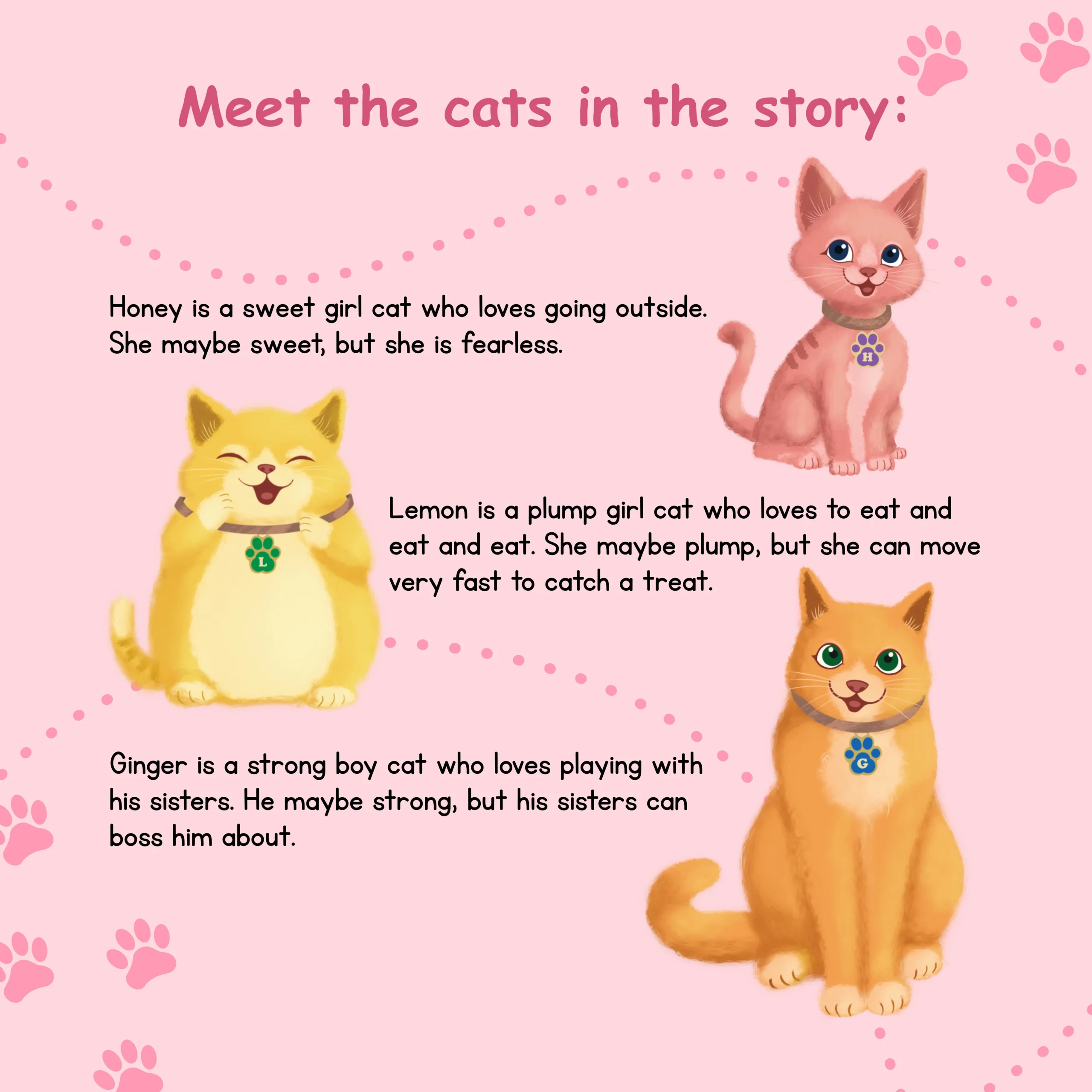 Meet the cats-Book-7