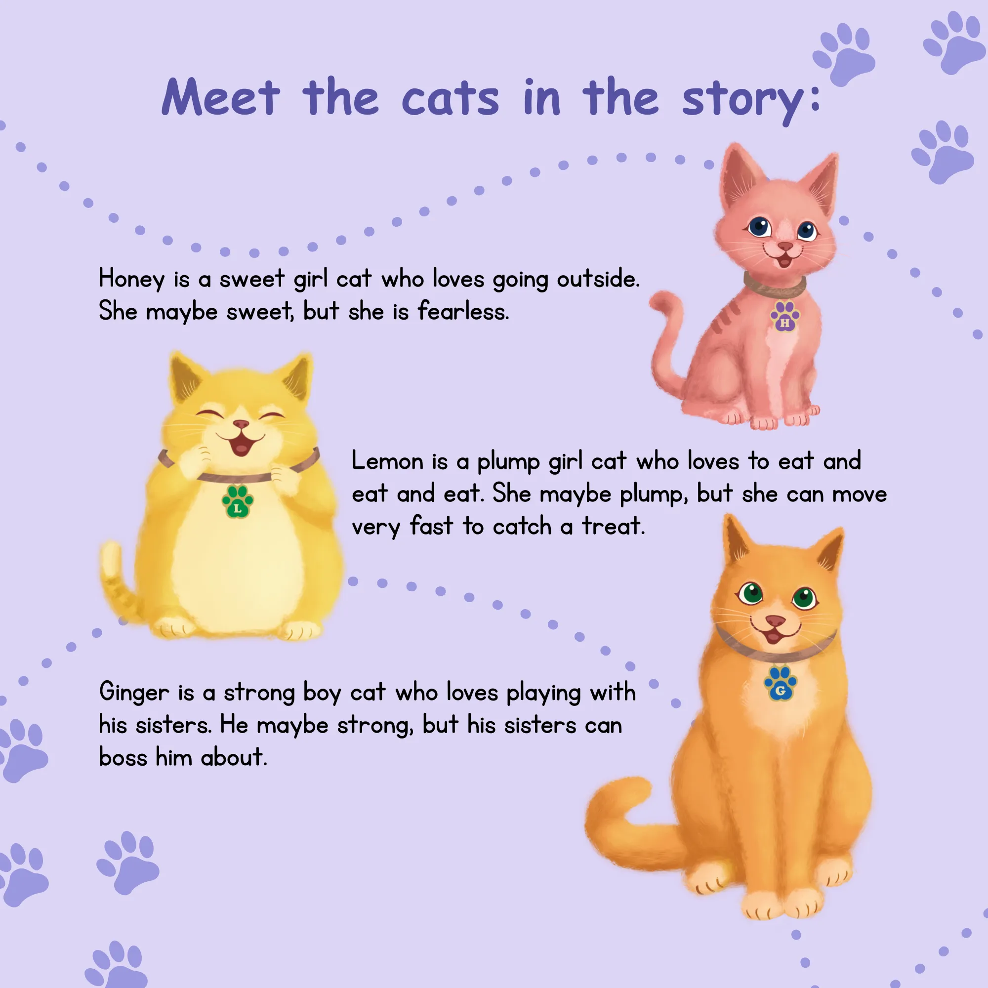 Meet the cats-Book-8